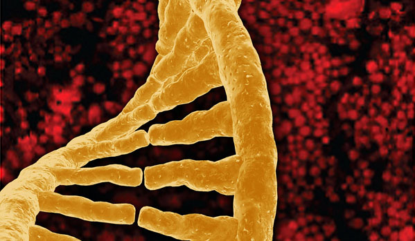 Estudo identifica genes responsáveis por tolerância à dor